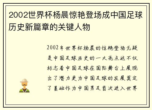 2002世界杯杨晨惊艳登场成中国足球历史新篇章的关键人物