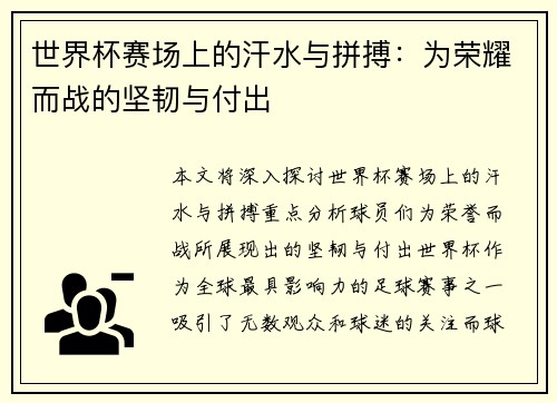 世界杯赛场上的汗水与拼搏：为荣耀而战的坚韧与付出